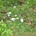 Thực Trạng Ô Nhiễm Môi Trường Nông Thôn Việt Nam Năm 2023