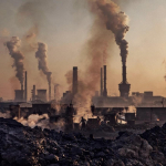 Ý Thức Bảo Vệ Môi Trường Của Doanh Nghiệp – Trách Nhiệm Hay Lựa Chọn?