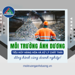 Mối Liên Hệ Giữa Tiêu Hủy Hàng Hóa Và Xử Lý Chất Thải Với Doanh Nghiệp