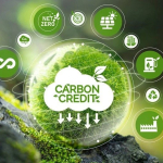 Tất Tần Tật Về Tín Chỉ Carbon Doanh Nghiệp Nào Cũng Cần Biết 