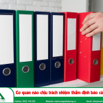 Cơ quan nào chịu trách nhiệm thẩm định báo cáo ĐTM?