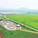 Hình Mẫu Doanh Nghiệp Xanh: TH True Milk Và Hành Trình Tái Sinh Nước Thải