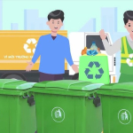 Hướng Dẫn Phân Loại Chất Thải Đúng Tiêu Chuẩn Và Quy Định Pháp Luật