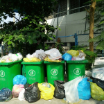 Kể Từ Ngày 01/01/2025, Không Phân Loại Rác Sẽ Bị Phạt Đến 25 Triệu Đồng 