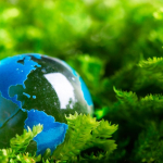 Báo Cáo Công Tác Bảo Vệ Môi Trường Bắt Đầu Thực Hiện Từ Đâu?