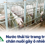 Nước thải chăn nuôi gây ô nhiễm – Giải pháp nào cho trang trại?