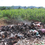 Vì sao doanh nghiệp không nên tự ý tiêu huỷ hàng hoá?