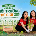 Môi Trường Ánh Dương Hợp Tác Trồng 1.000 Cây Xanh Tại Xã Xuyên Mộc, TP Hồ Chí Minh