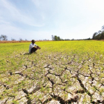 Bạn Biết Gì Về Xâm Nhập Mặn?