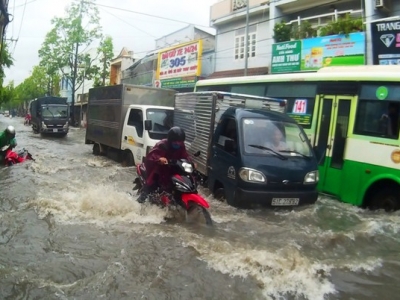 NGẬP VÌ RÁC
