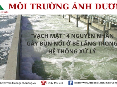 Nguyên nhân bùn nổi ở bể lắng và cách khắc phục hiệu quả