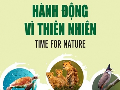 HÀNH ĐỘNG VÌ THIÊN NHIÊN