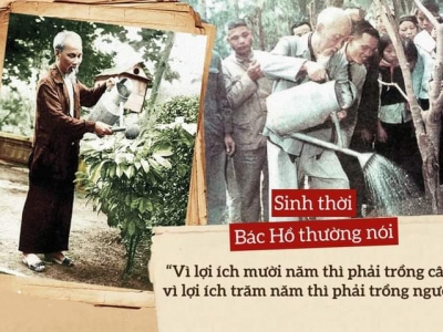 THẤM THÍA LỜI DẠY CỦA BÁC VỀ TRỒNG CÂY, GÂY RỪNG