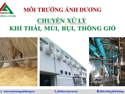 Hé lộ công nghệ xử lý bụi gõ hiệu quả