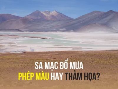 SA MẠC ĐỔ MƯA - PHÉP MÀU HAY THẢM HỌA