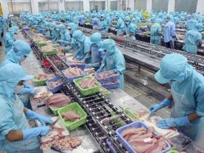 Nước thải thủy sản - Hậu quả khó lường