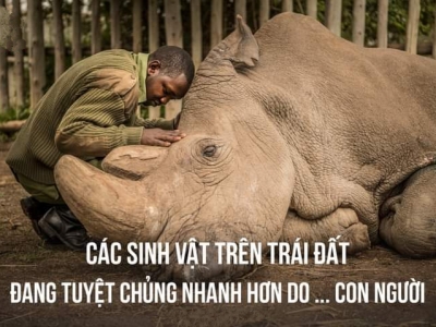 CON NGƯỜI ĐANG ĐẨY NHANH SỰ TUYỆT CHỦNG CỦA CÁC SINH VẬT TRÊN TRÁI ĐẤT