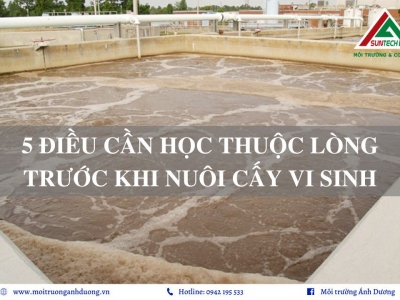 5 điều cần biết trước khi nuôi cấy vi sinh cực hiệu quả