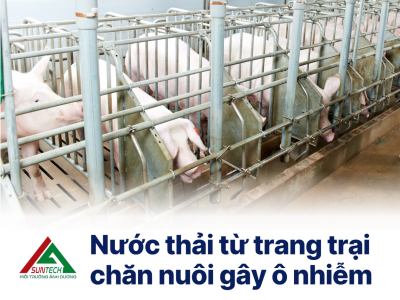 Nước thải chăn nuôi gây ô nhiễm – Giải pháp nào cho trang trại?