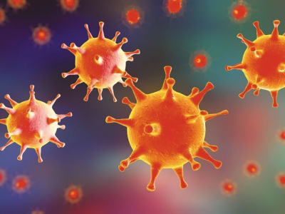 CẢNH BÁO VIRUS NIPAH: NGUỒN LÂY, TRIỆU CHỨNG VÀ BIỆN PHÁP PHÒNG TRÁNH