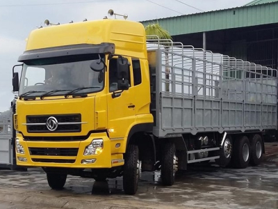 Chuyến xe thu gom của Ánh Dương: Lăn bánh từ Khánh Hòa dọc xuống Cà Mau